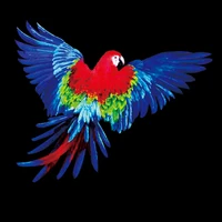 fly parrot patches noctilucent vogue stickers for clothes thermal transfer printing pattern diy decoration animal luminous patch