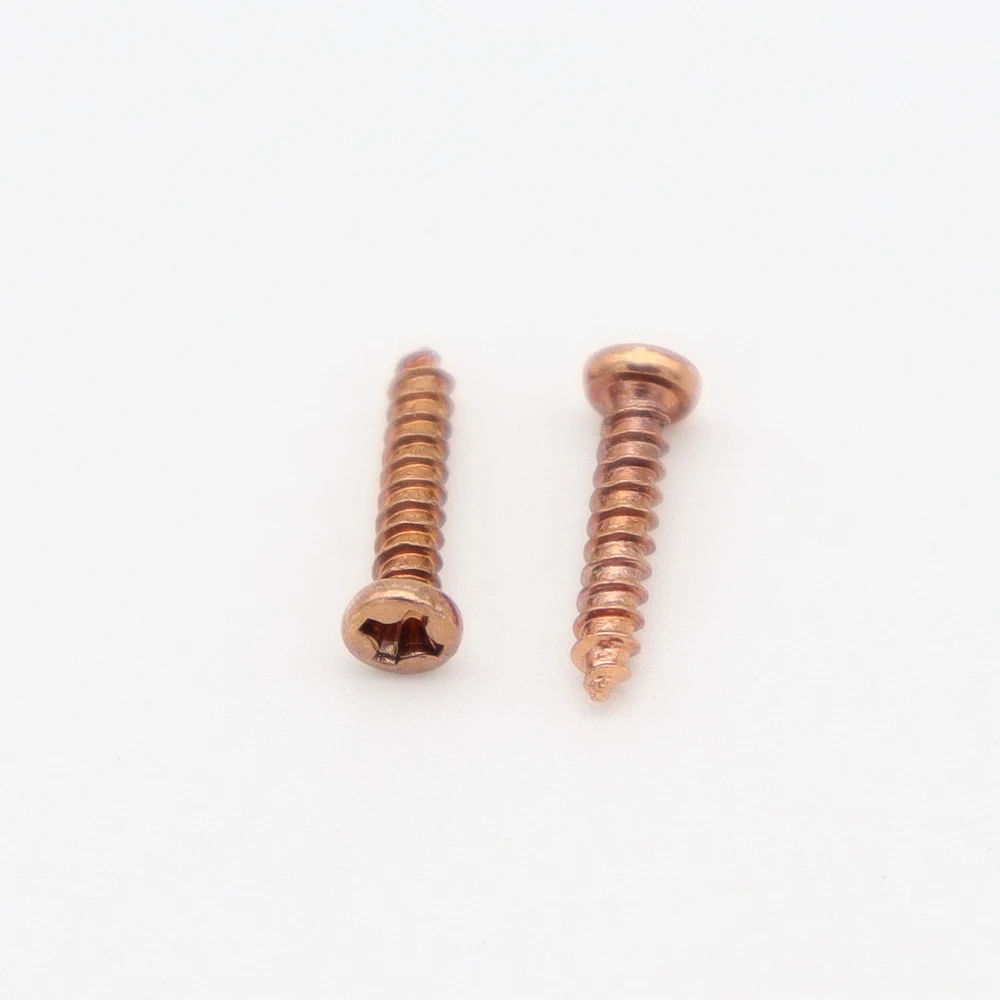 3050100 stücke elektrische gitarre tuning schraube folk gitarre taste schraube elektrische bass taste montage schraube 2 2 × 11mm free g