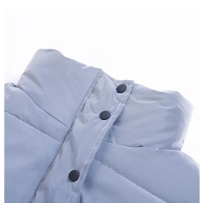 Новая Женская осенне зимняя панк теплая куртка 2019 уличная одежда с длинным