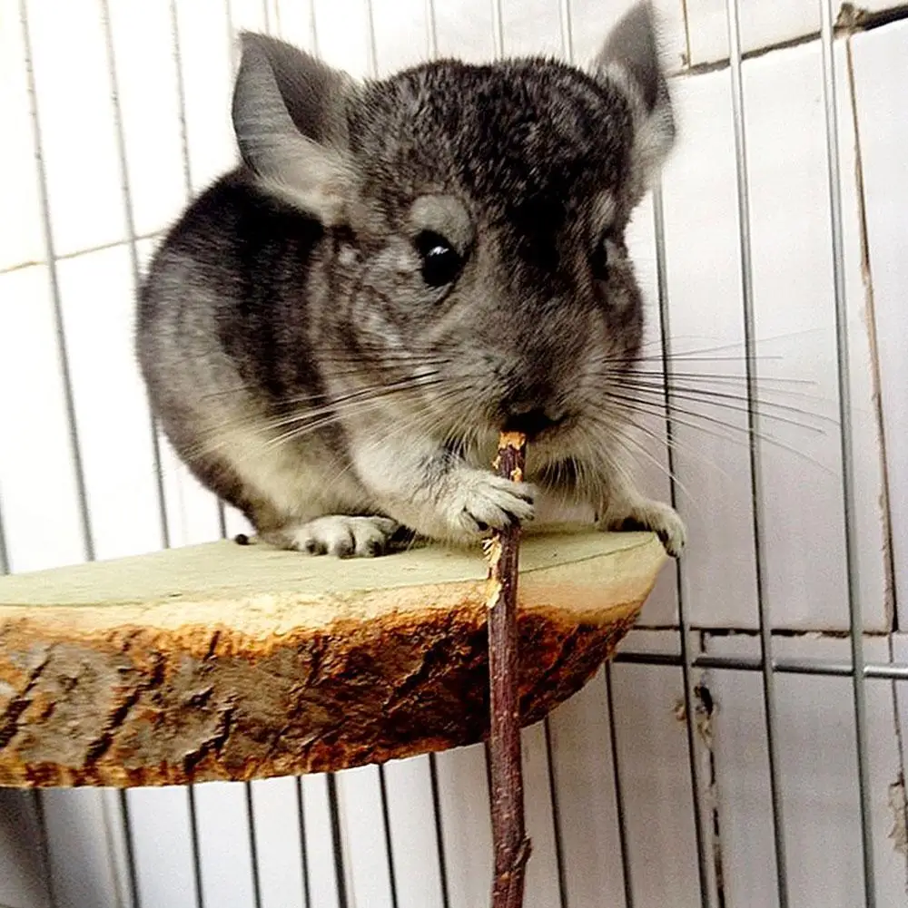 Жевательная игрушка для домашних животных деревянные палочки веточки чистящие