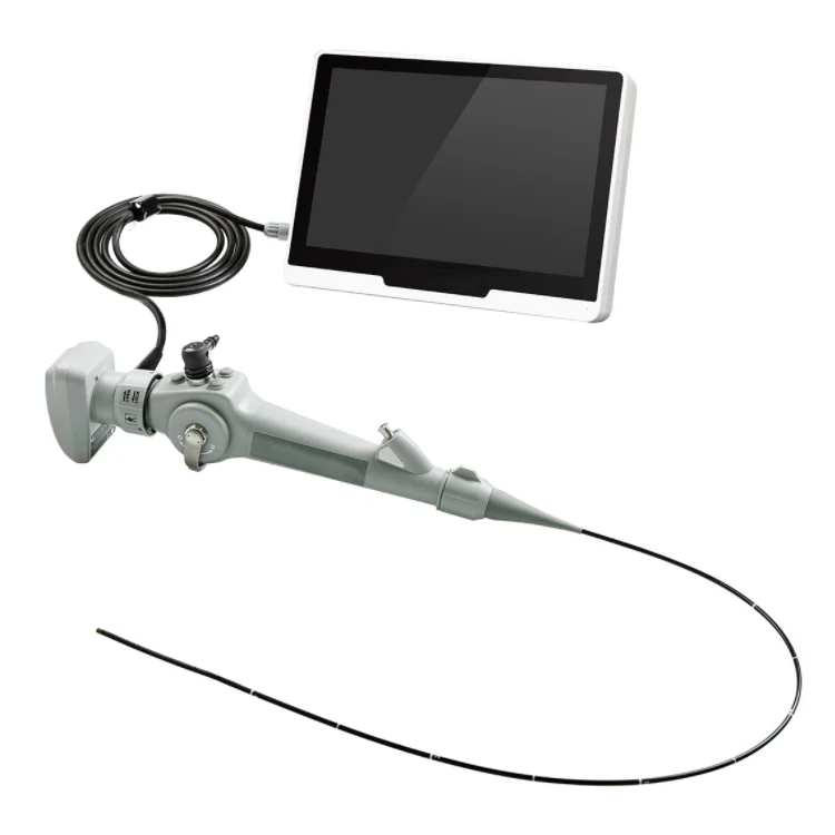

Flexible Image Processor Veterinary Endoscope For Small Animal
