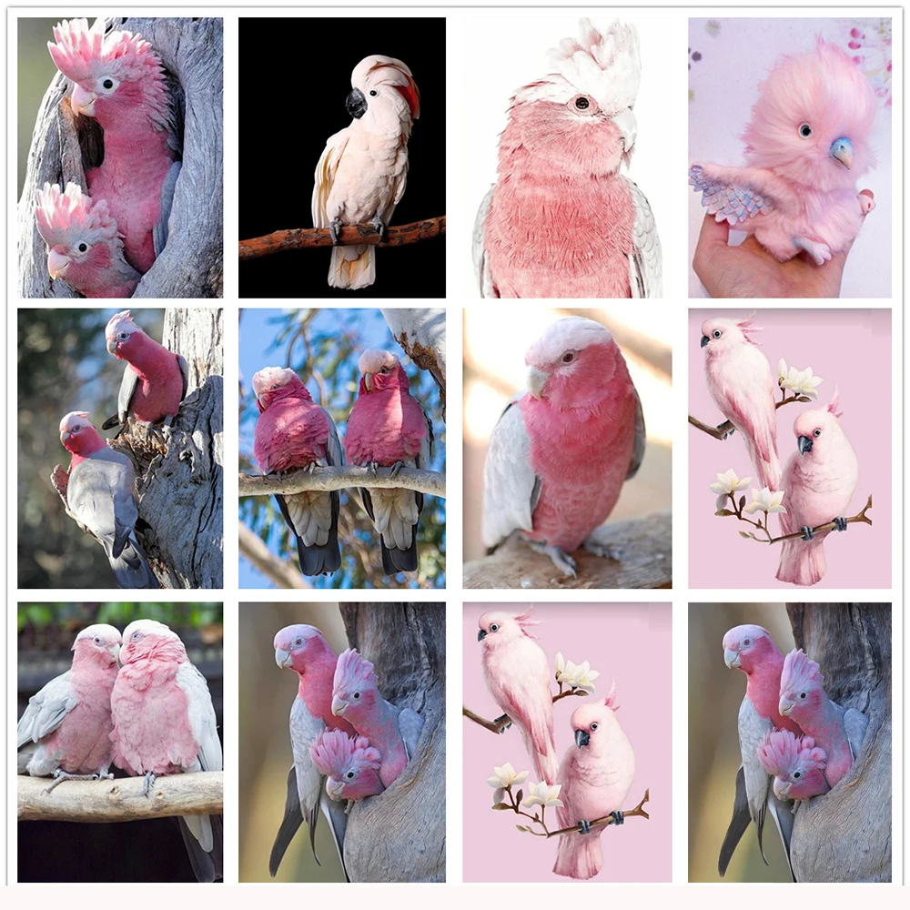 

KAMY YI Бутик Горячая Распродажа животных попугай розовый милый Алмазная вышивка крестиком на рисунке, 5D Diy Алмазная вышивка Европейский Декор...