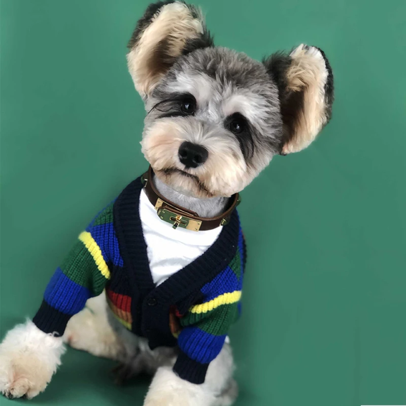Радужная полоса Осень Зима Одежда для собак маленьких чихуахуа теплый милый