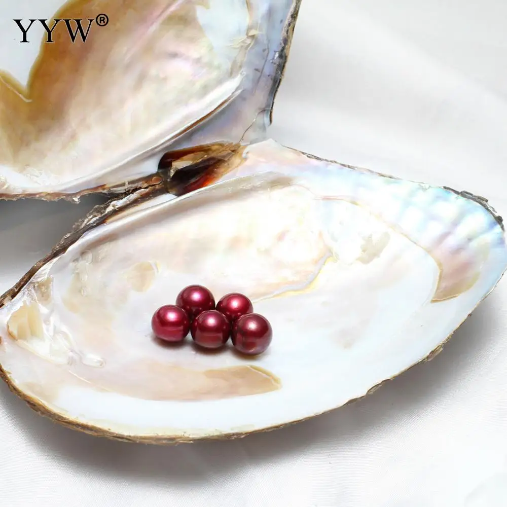 

Жемчуг Эдисон Wish Pearl Oyster 11-13 мм, высококачественный жемчуг для женщин, сделай сам, элегантное ожерелье, браслет, изготовление украшений