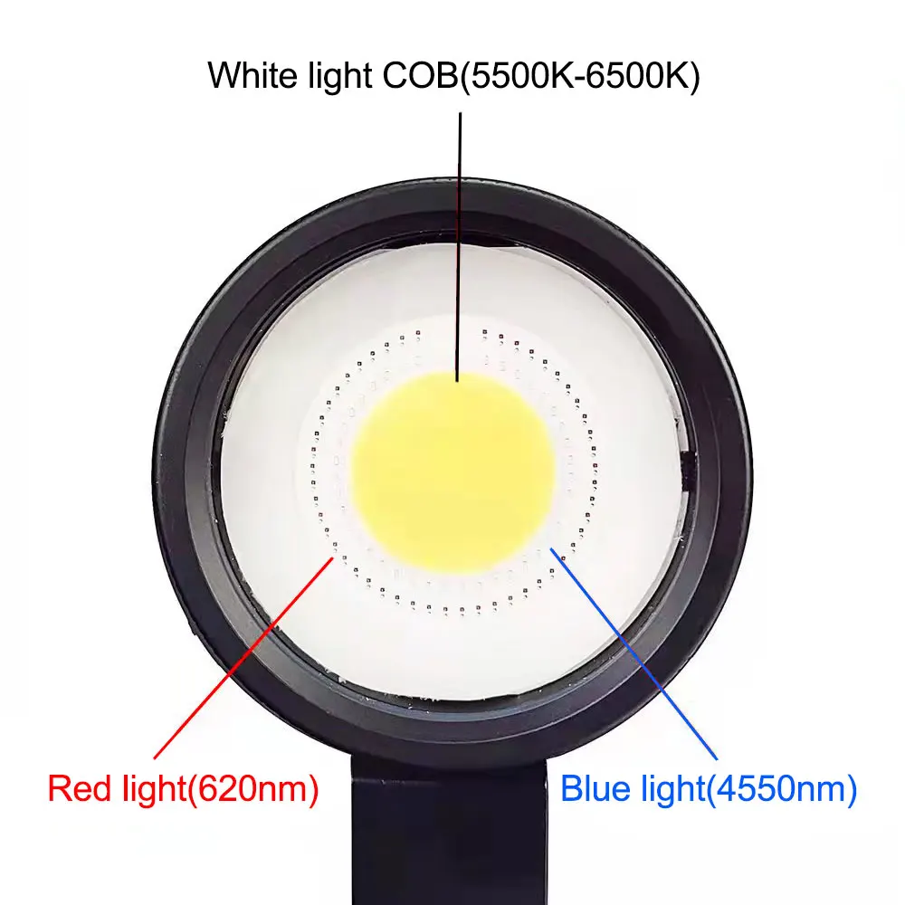 Продажа Новинка 100 лм фонасветильник для дайвинга COB светодиодный IPX8 водонепроницаемый подводный м фонарь для дайвинга с белым/синим/красным бликом...