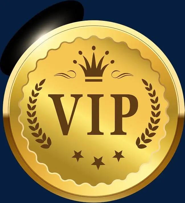 

VIP Link freight
