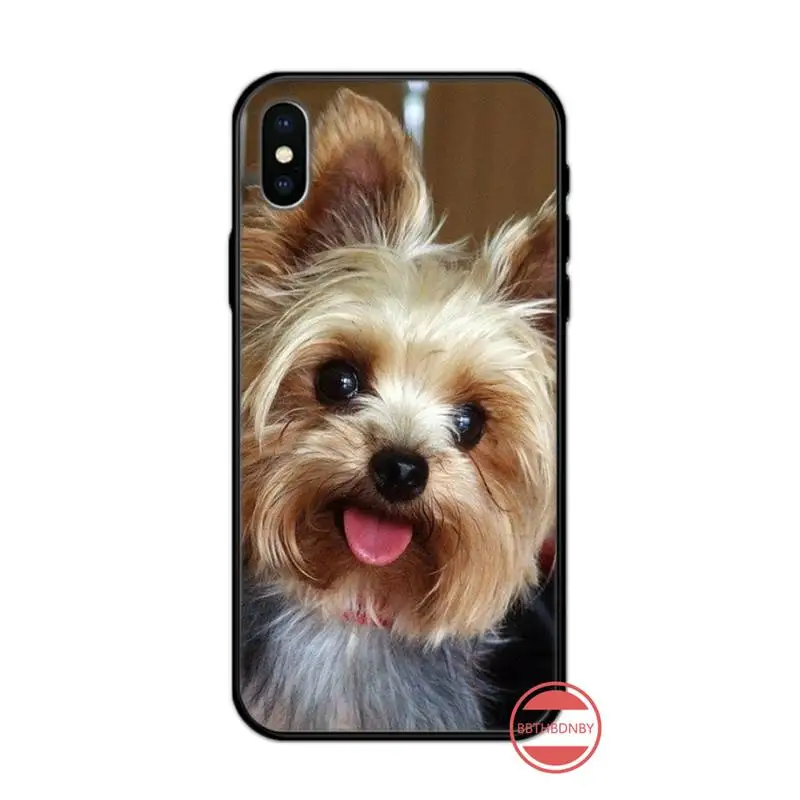 

Yorkshire terrier dog Cute animal high quality luxury Phone Case for iPhone 11 12 pro XS MAX 8 7 6 6S Plus X 5S SE 2020 XR