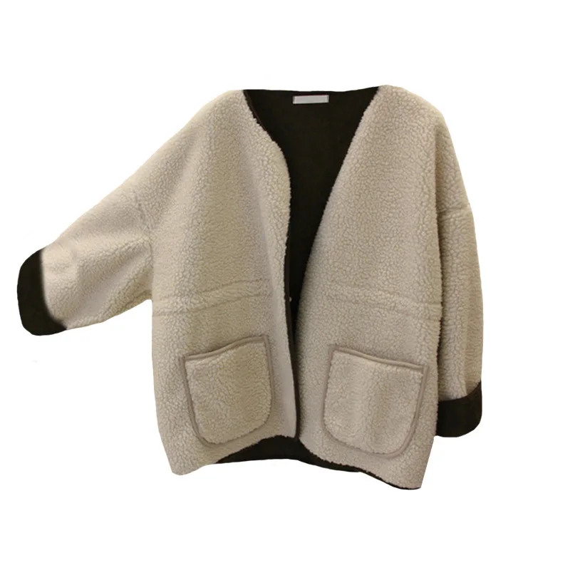 

2020 autumn and winter new loose warm small wild lamb wool coat female short top