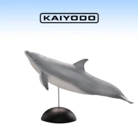 aquatic animal figure collection marine organism bottlenose dolphin action figure simulation model ornaments limited collection