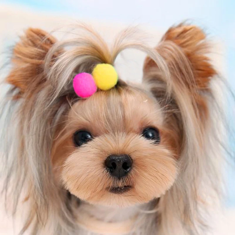 Собачья шпилька для питомца собак аксессуары ухода за маленькими шариками
