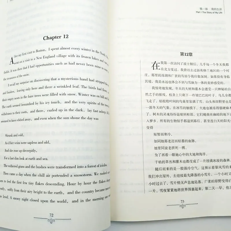 

The How The Steel Was Tempered World Famous Fiction Novelrs Bilingual Chinese and English Novel Book
