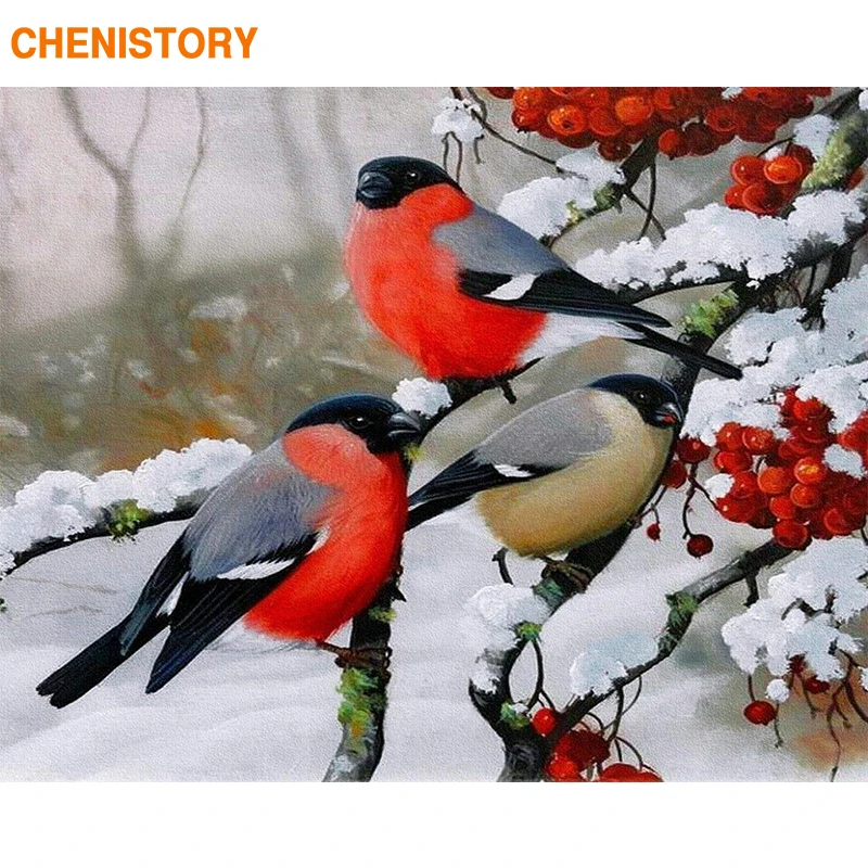 

CHENISTORY Frame Picture By Numbers Birds Diy Acrylic Paint On Canvas Painting By Numbers Snow For Home Decors Gift Wall Artwork