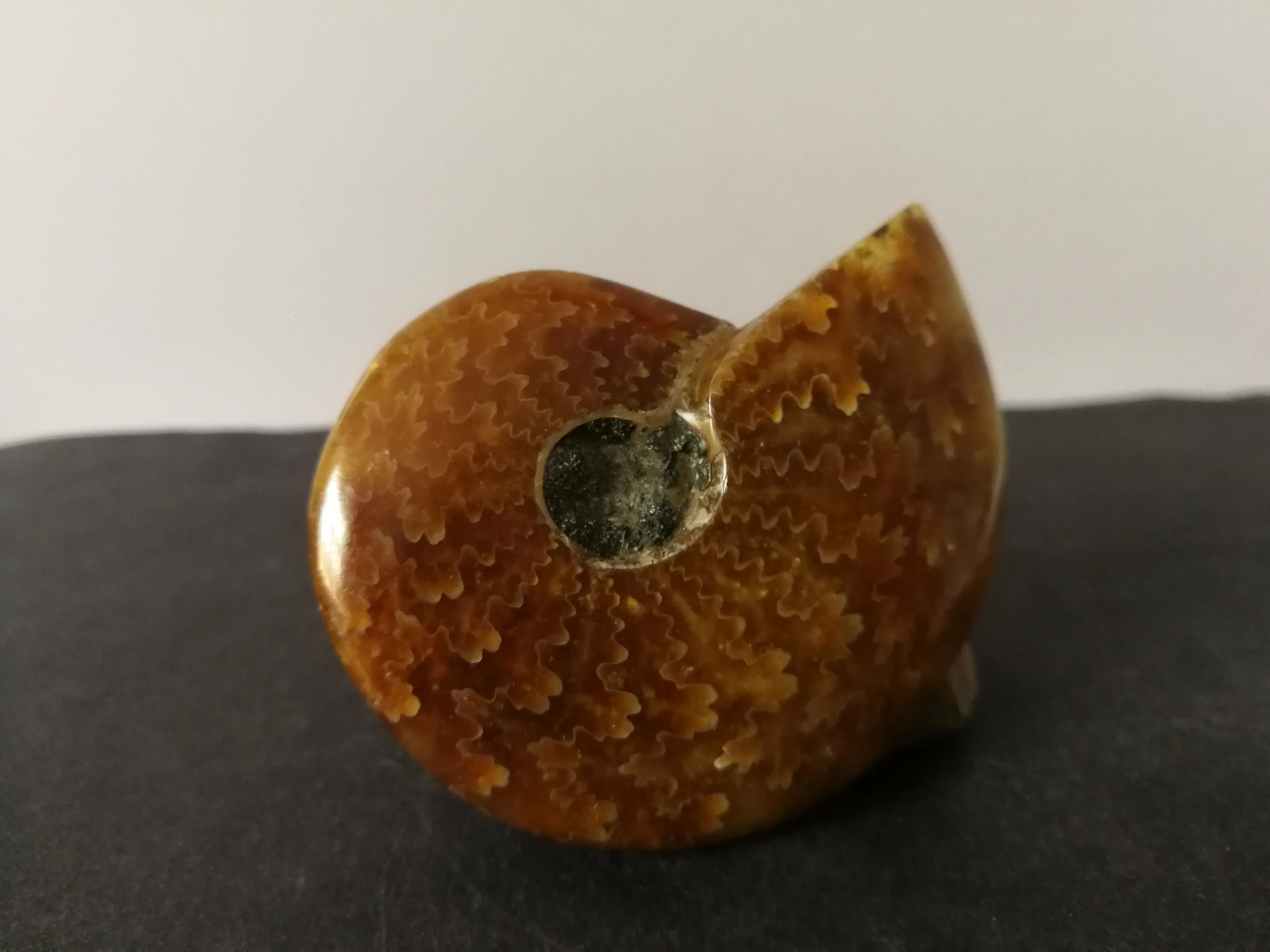 72 0 gNatural аммонита с украшением в виде кристаллов образец кварца энергии