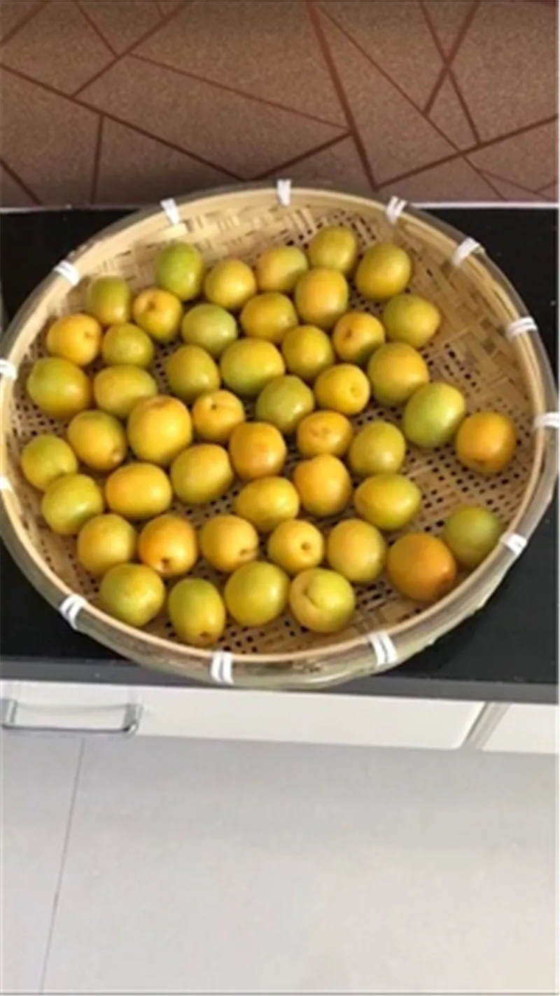 Бамбуковое сито закрытый сеткой слив ручной работы лоток для фруктов корзины