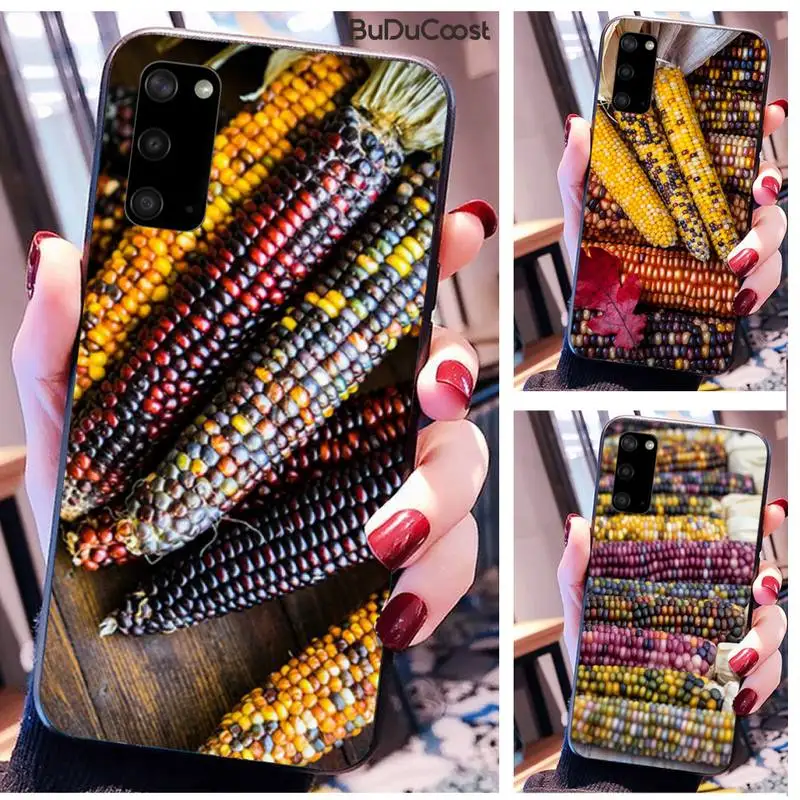 Riccu овощи сладкий Кукуруза красочный чехол для телефона Samsung Galaxy S10 Plus S10E S6 S7 edge S8 S9