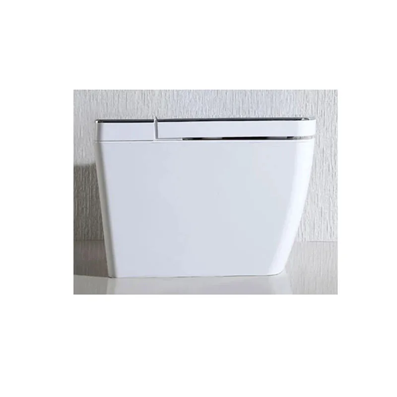 SL620 VOGO умный Цельный унитаз интеллектуальное биде с теплой крышкой