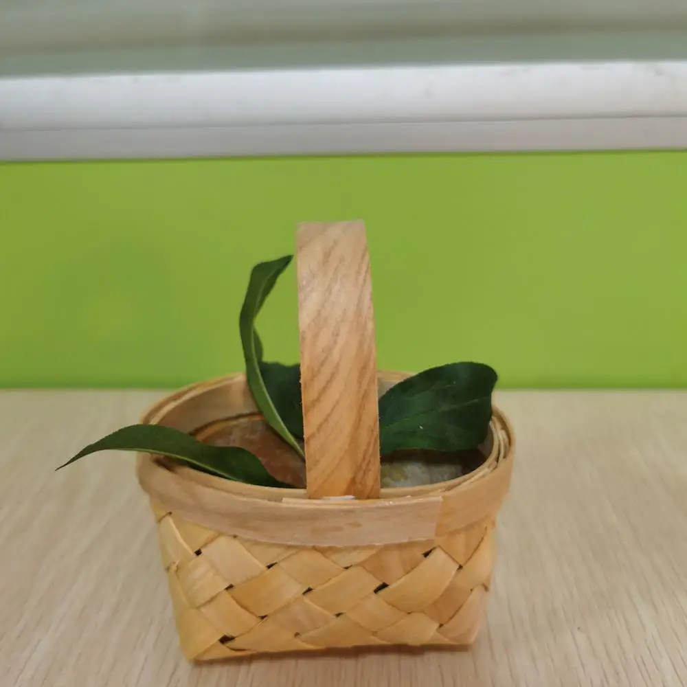 

80%HOTWooden Woven Basket Sundries Organizer Plant Rattan Box Gifts Candy Container