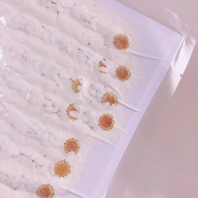 Свеча DIY Маргаритка высушенные цветы тиснение ботани образец DIY ручной Клей руки ракушки для украшения 3d лепесток фонарь в форме свечи