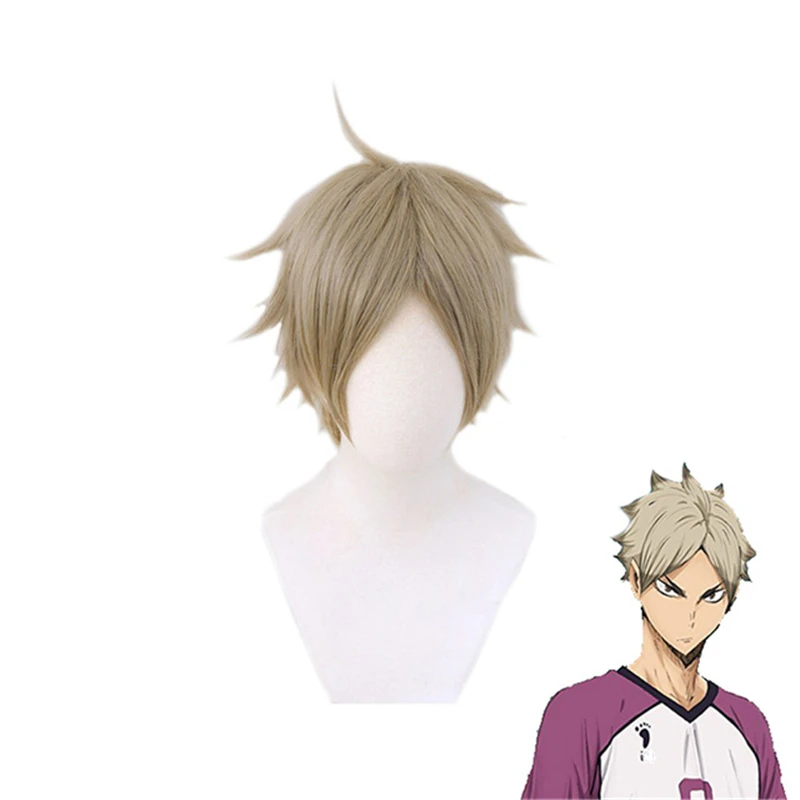 

Semi Eita Cosplay Wig Anime Haikyuu!! Short Mixed Gray Heat Resistant Synthetic Hair Role Play Wigs + Hairnet