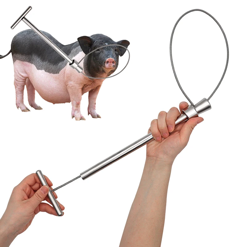 

1 Pcs Stainless Steel Wire Catching Pig Lasso Baoding Pig Head Grab Pig Device Pig Equipment Convenient Safety