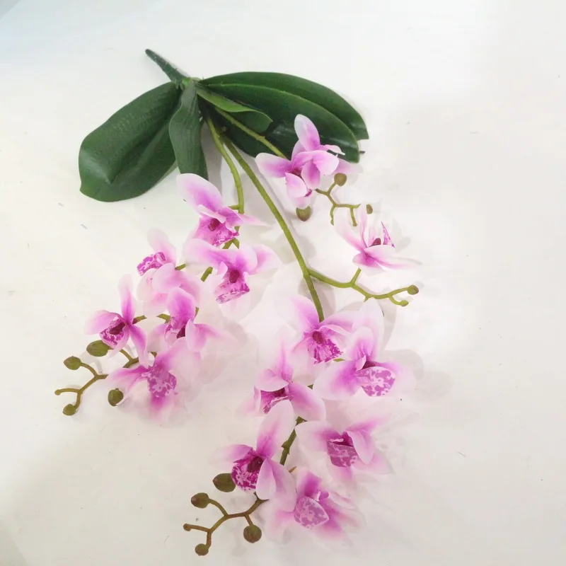 3 вилки Восточной Азии Орхидея Cymbidium Faberi искусственный цветок сохраненный свежий