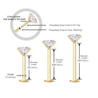 1 шт. с наконечниками из стали для хирургических инструментов, новые горячие губы губная серьга пуш-ап и Уха Булавки пирсинг двойного назначения pin серии человека Мода пирсинг тела ювелирные изделия