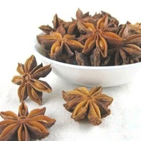100g free shipping chinese star anisechinese anise