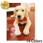 1 шт., галстук-бабочка