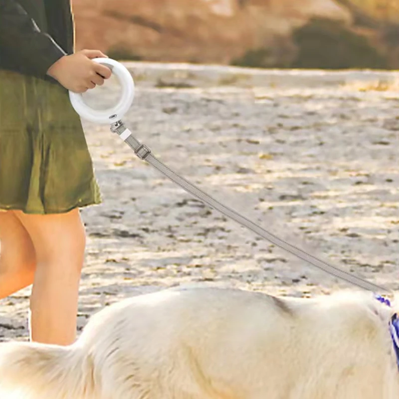 Поводок для домашних питомцев светодиодная обесцвечивающаяся Съемная рулетка