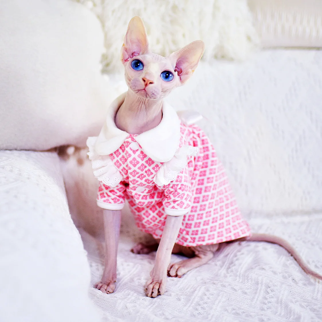 

DUOMASUMI Skin-friendly quilted princess lace Cat skirt Costume Fall Spring Cat Outfits Sphinx hairless cat clothes Sphynx Cat