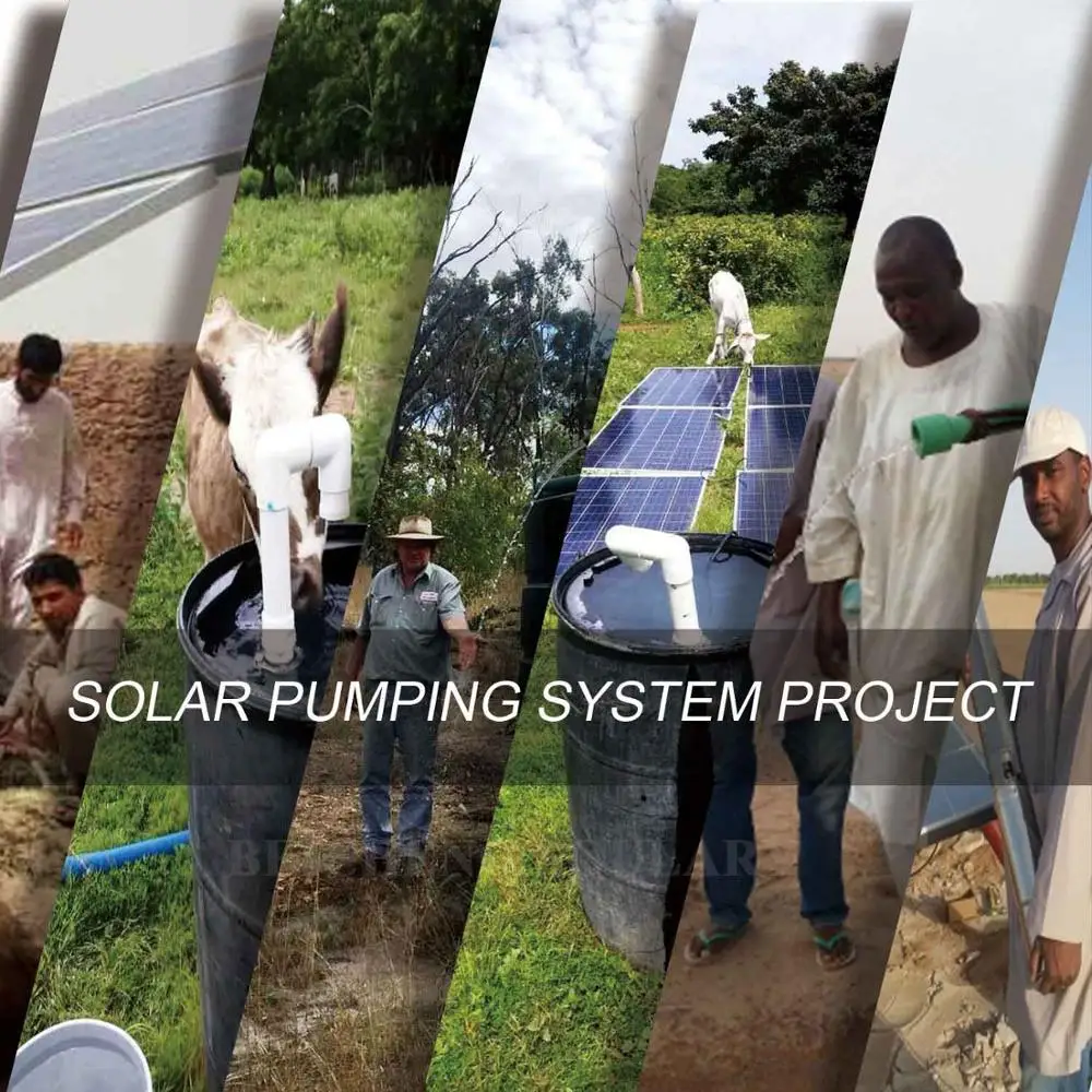 (Бесплатная доставка) 3 дюйм (ов) Нержавеющая сталь 1HP DC погружной насос на