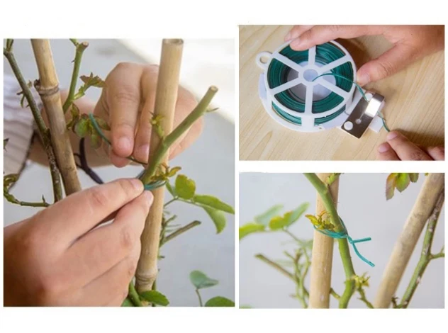 Садовые инструменты плетеный галстук ремень прививка фиксатор парк пейзаж