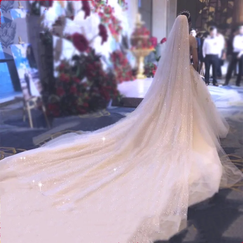 

Long Bridal Veil White Veil Applique Sequins Veil With Comb Cathedral Length One-Layertulle veil 3Meters Width
