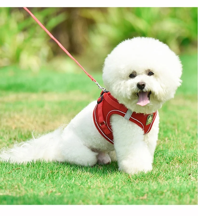 

Vest-style Cat Dog Leash Reflective and Breathable Nylon Dog Rope At Night Small and Medium-sized Dog Harness Set Pet Supplies