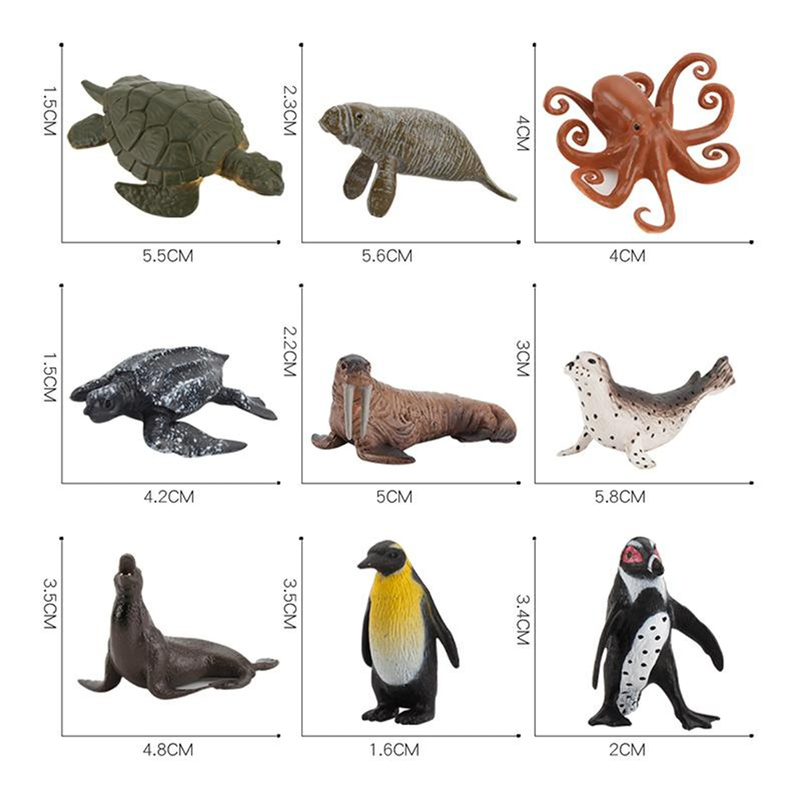 

Sealife Toy Model Figure Realistic Ocean Animals Collector Play Toy Gift