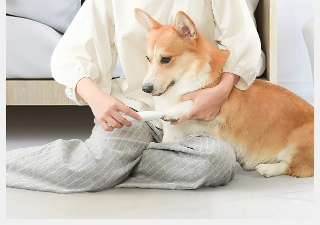 Xiaomi Pawbby Pet местный бритва предохранительный резак головы низкий уровень шума нет волос собака волос точный Триммер Уход за шерстью домашних животных