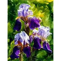 gatyztory painting by numbers iris handpainted oil painitng by numbers flowers framed 60x75cm diy gift home decoration