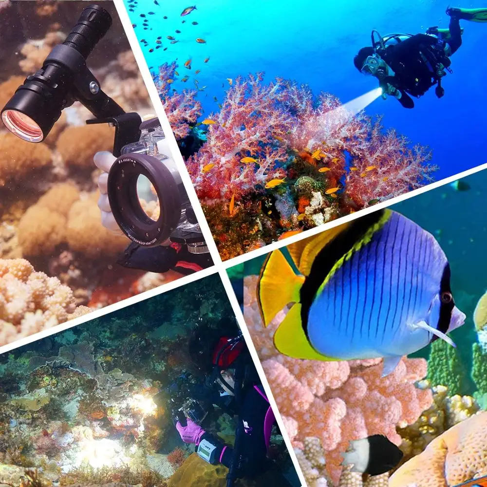 

PULUZ 3800LM 1000LM Aluminum Alloy 50m Depth Diving LED Flashlight Cold White Light Torch Light Diving Sport Camera Accessories