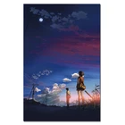 Фильм манга, плакат, аниме, 5 сантиметров за секунду, принты фильмов, настенное искусство, картина без рамки, мультяшная любовь, шелковая Живопись, 30x45 см