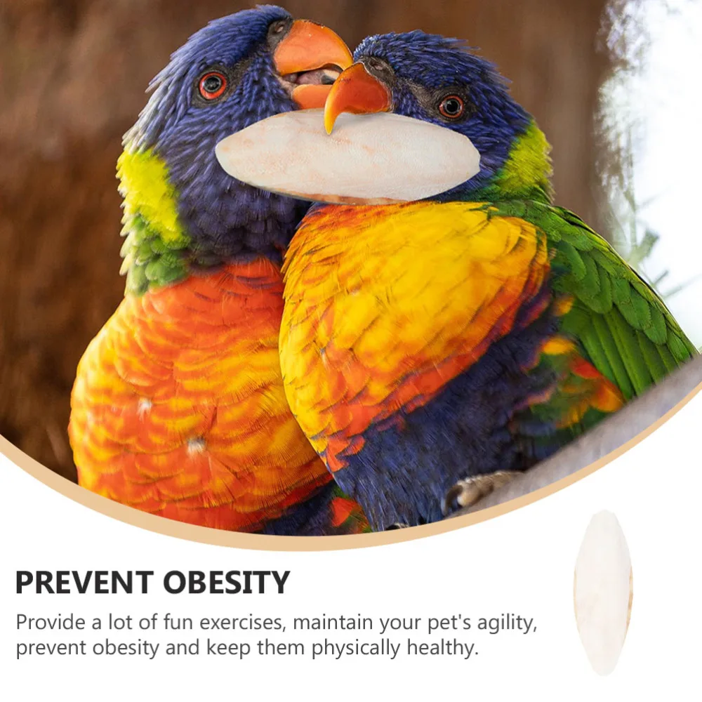 

30pcs Parrot Desalting Cuttlebone Toys Practical Pet Training Chew Molar Toys