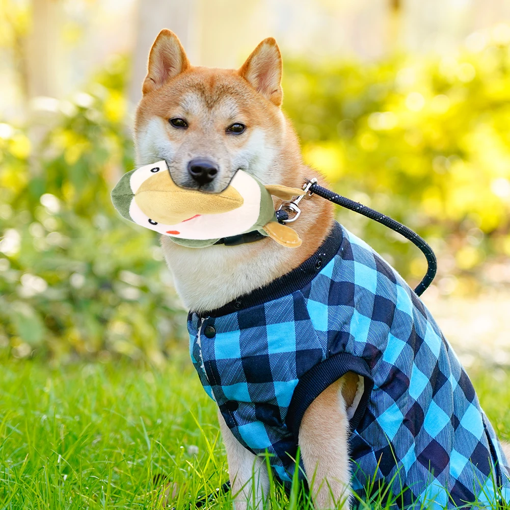 Для домашних животных для кошек и собак приводит к эрозии игрушка коренных зубов