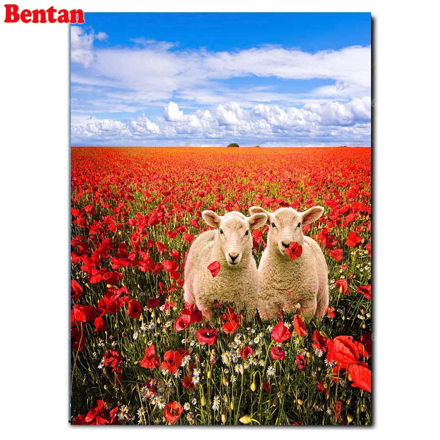 

wall sticker 5D Diy Full Square round Diamond Painting Cross Stitch Twin Lambs Diamond Embroidery Poppy flower Rhinestone decor