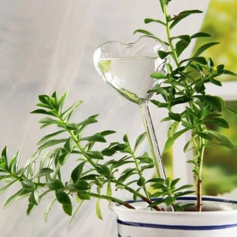 

1pcs New Automatic Flower Watering Device Plant Waterer Self Watering Globes Bird Shape Hand Blown Clear Glass Aqua Bulbs