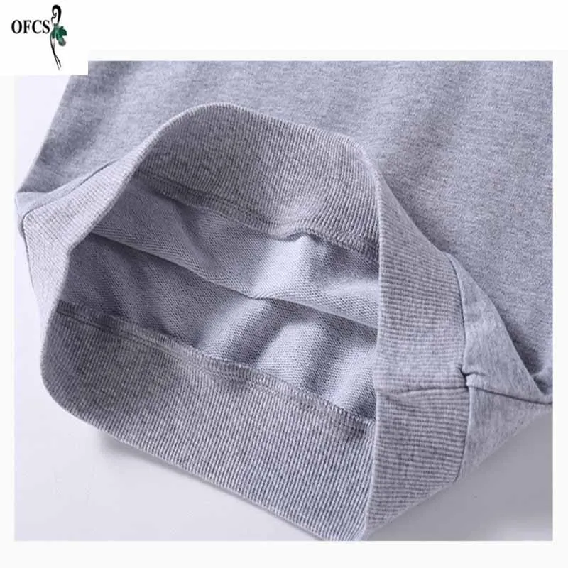 

Autumn leisure, boys and girls long-sleeved T-shirt printing animal motifs, children thin fashion sweater, retail