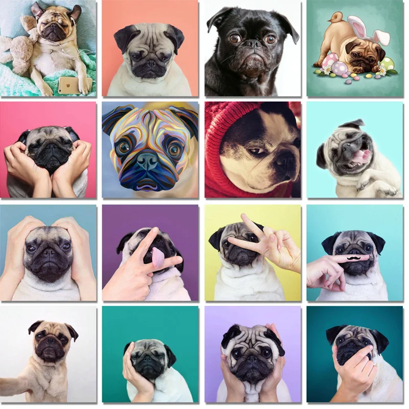 Алмазная 3D картина сделай сам вышивка мопса собака животные полноразмерная