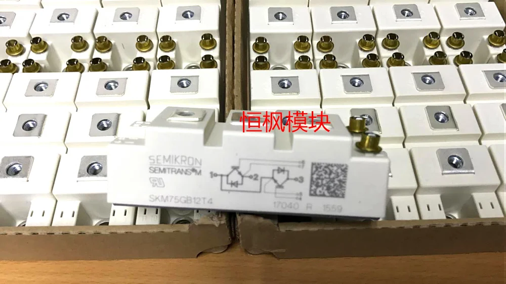 

100% оригинальный новый импортированный SKM75GB12T4 SKM100GB12T4