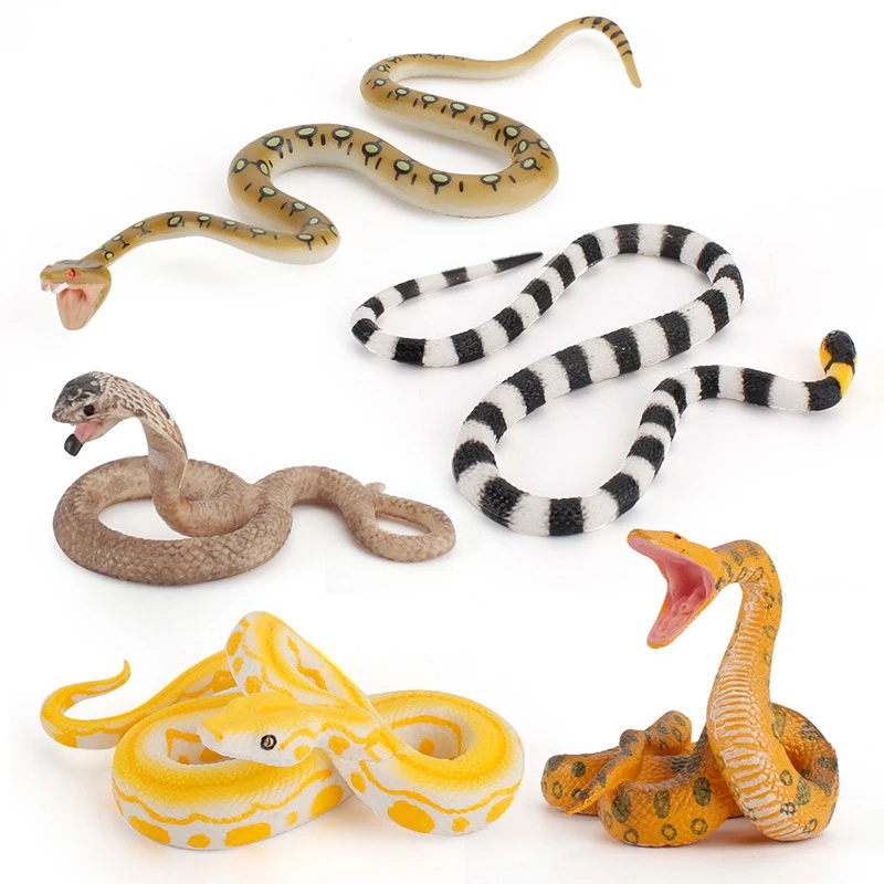

Animal Model Simulation Wild Reptile Model Children Cognitive Cobra Toy Children's Cognitive Biology Toys
