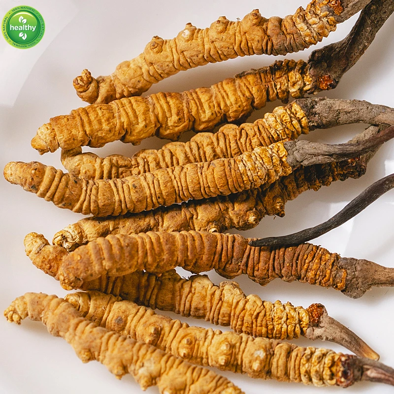 

Dong Chong Xia Cao Improve Immunity