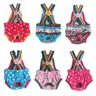 Физиологическое менструальное нижнее белье Honden Broekjes, нижнее белье для собак, шорты, гигиенические моющиеся женские трусы