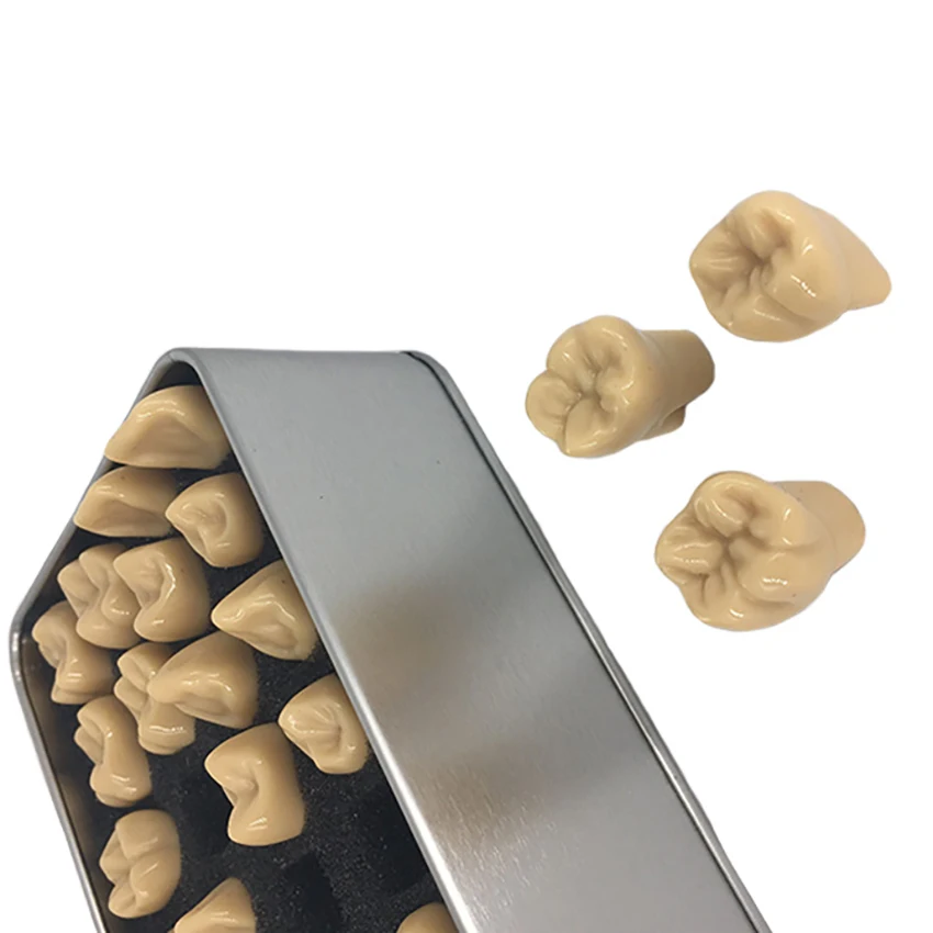 

1 Set Resin Tooth Model 2 Times Standard Dental Tooth Engraving Module Dental Oral Tooth Carving Teaching Model Practice Tools